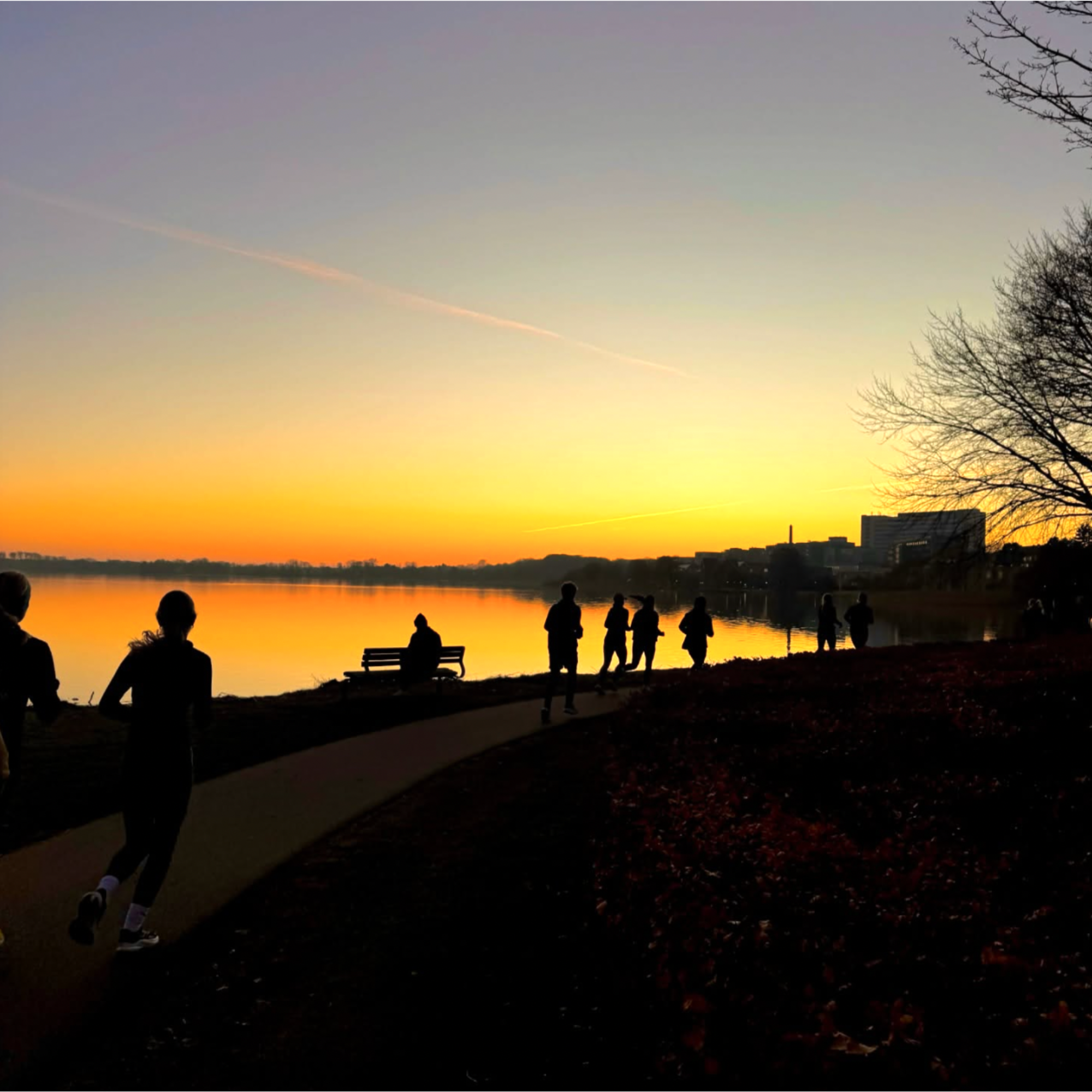 Social Run Viborg