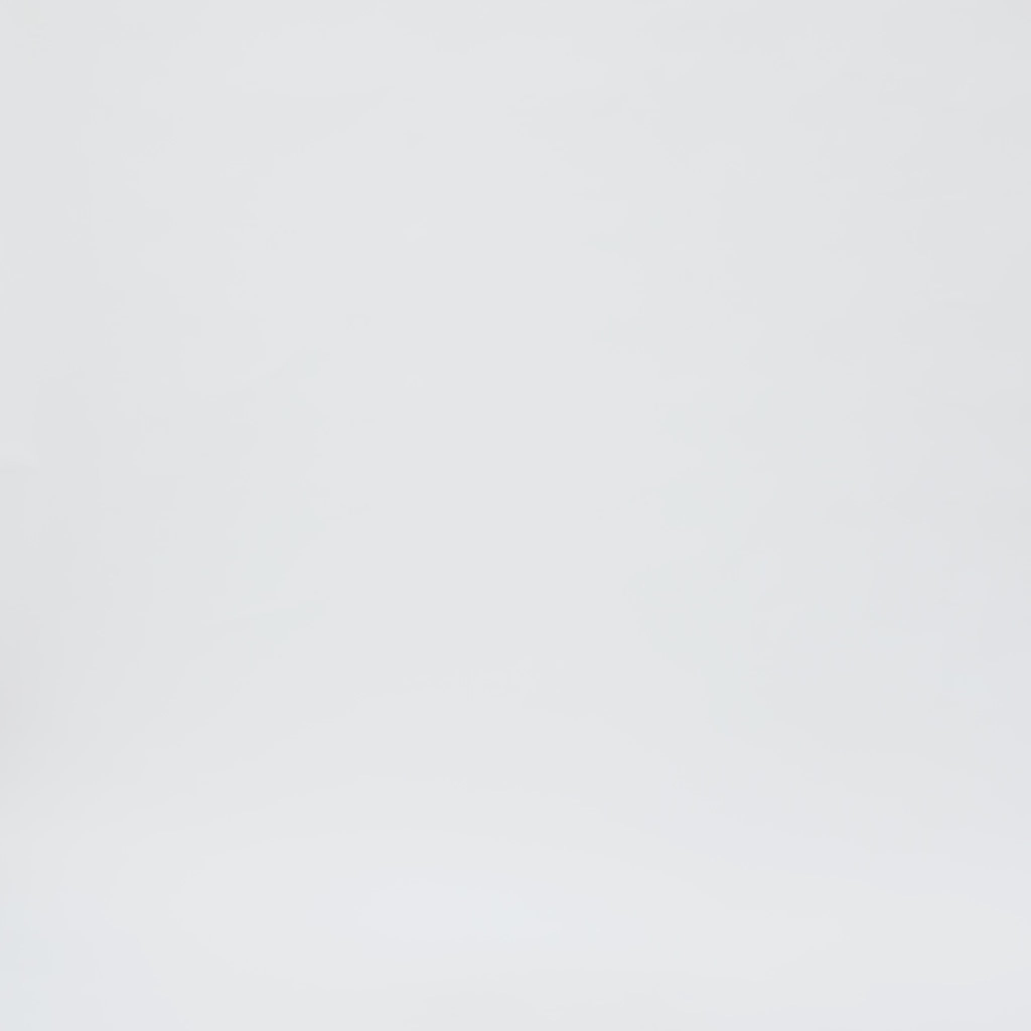 liiteGuard GLU-TECH RUNNING 2IN1 SHORTS (WOMEN) Shorts Black